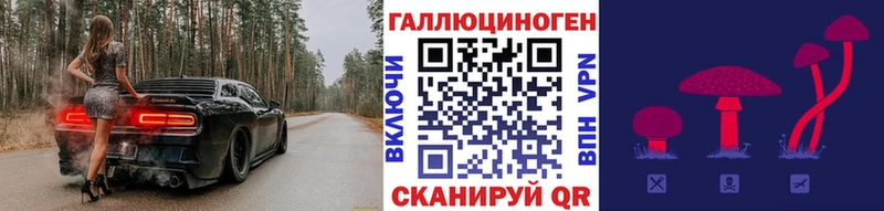 Галлюциногенные грибы Psilocybe  Купить закладки  Белозерск 